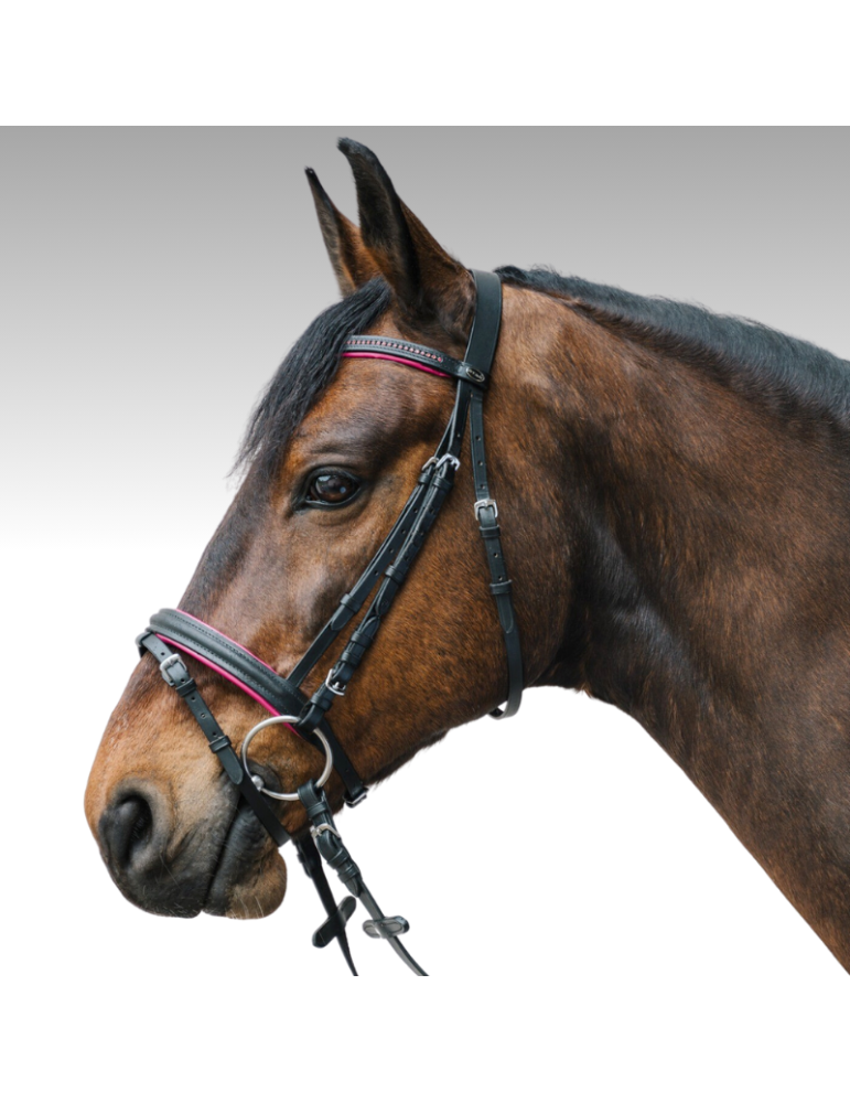 Bridon Star DIAMOND Bridon Star DIAMOND