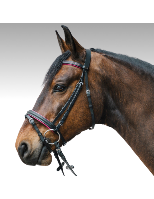 Bridon Star DIAMOND Bridon Star DIAMOND