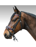 Bridon Star DIAMOND