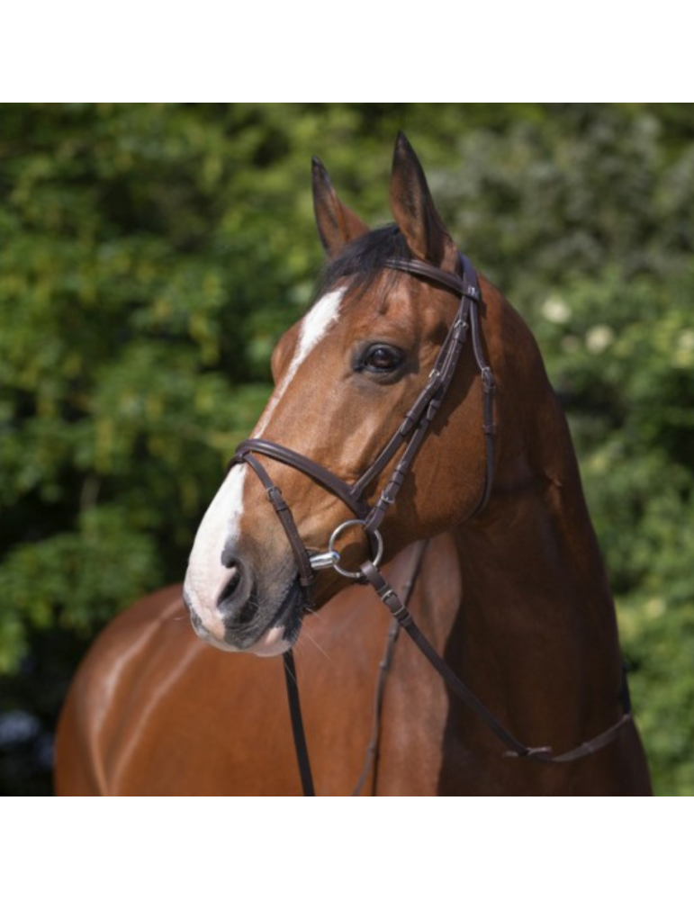 Bridon Muserolle combiné RIDING Bridon Muserolle combiné RIDING