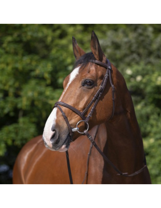 Bridon Muserolle combiné RIDING Bridon Muserolle combiné RIDING