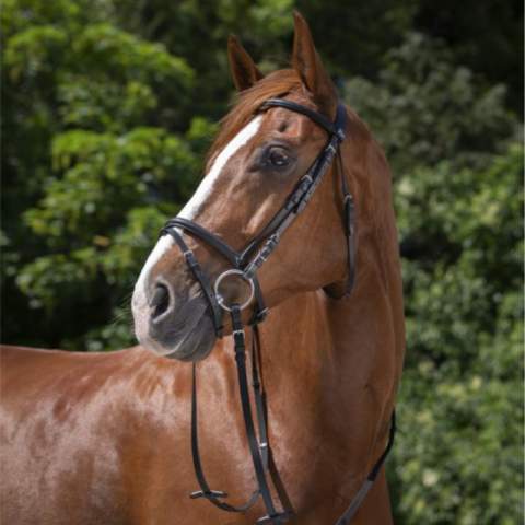 Bridon muserolle combinée RW 2