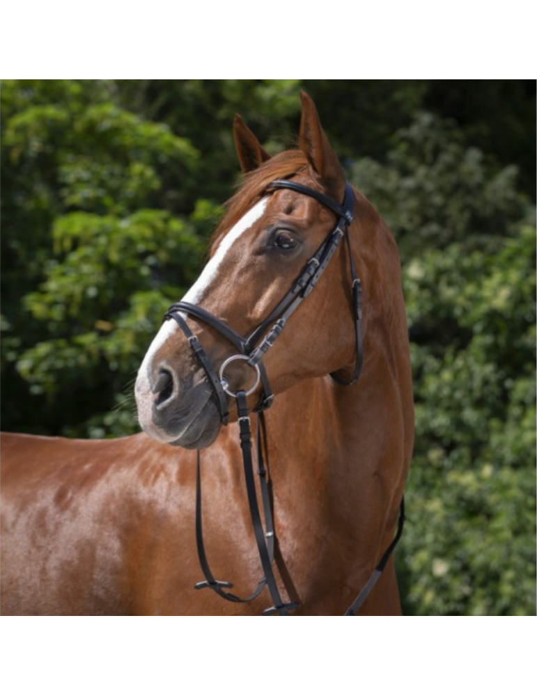 Bridon Muserolle combiné RIDING