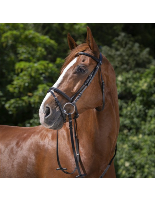 Bridon Muserolle combiné RIDING