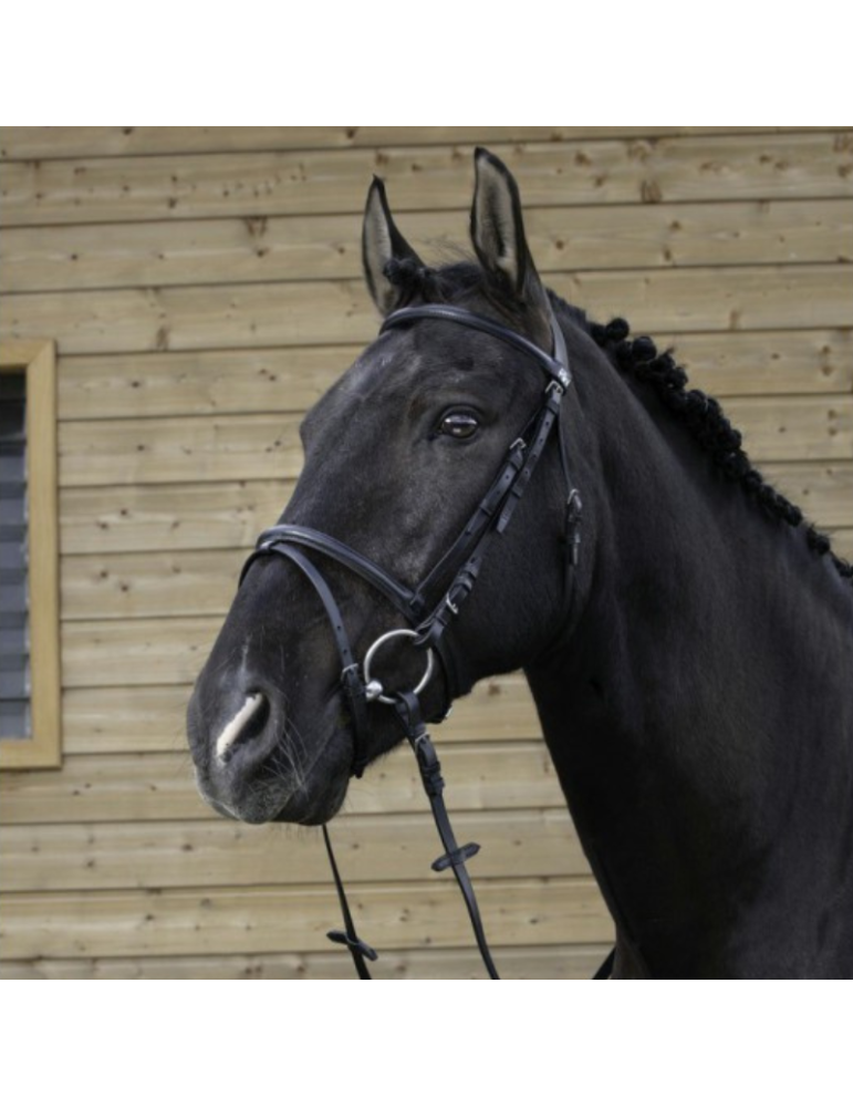 Bridon Muserolle combiné RIDING