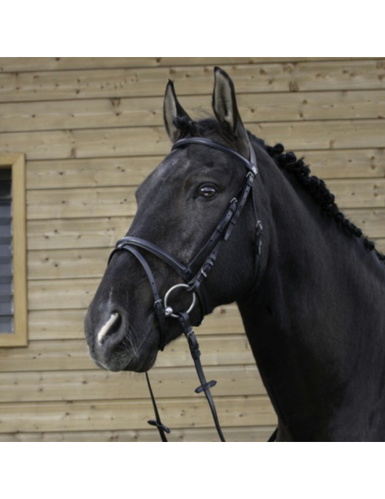 Bridon Muserolle combiné RIDING
