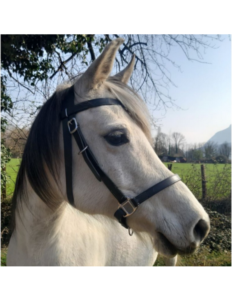 Bridon-licol de randonnée en cuir SB – Sellerie Baude