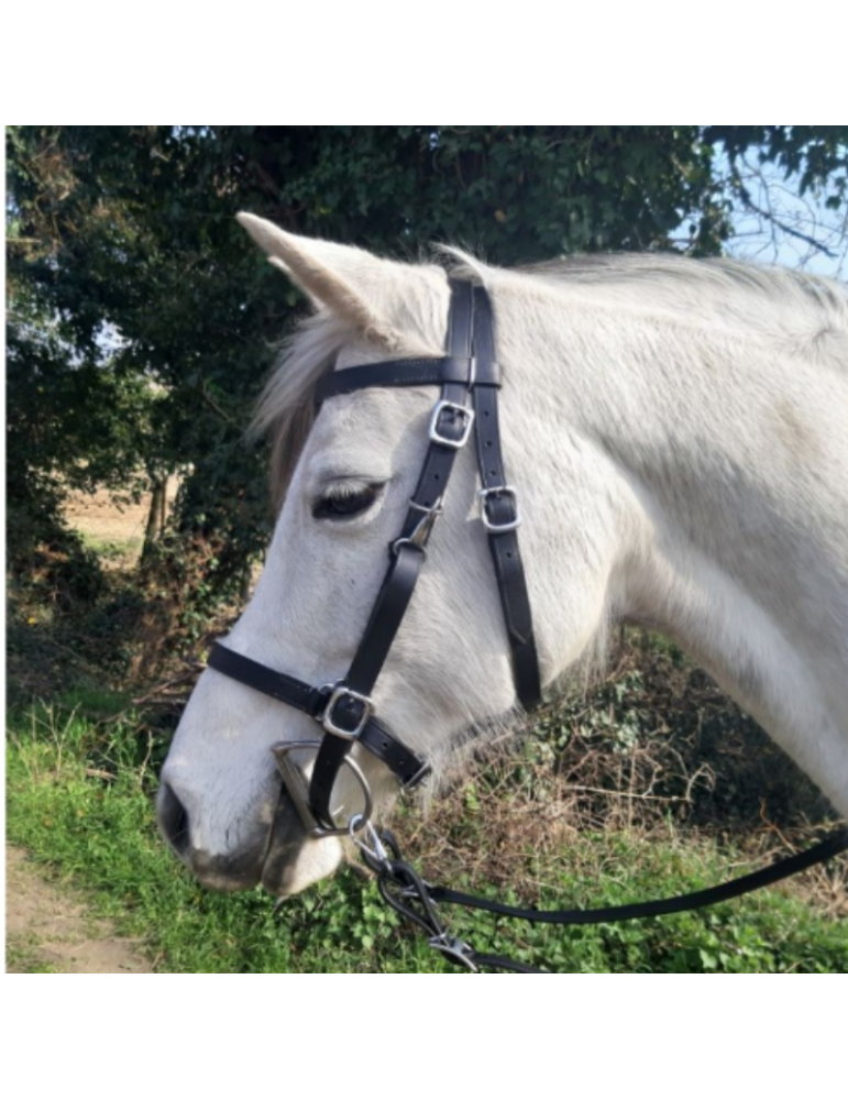 Bridon-licol de randonnée en cuir SB – Sellerie Baude Bridon-licol de randonnée en cuir SB – Sellerie Baude