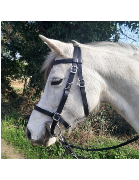 Bridon-licol de randonnée en cuir SB – Sellerie Baude Bridon-licol de randonnée en cuir SB – Sellerie Baude