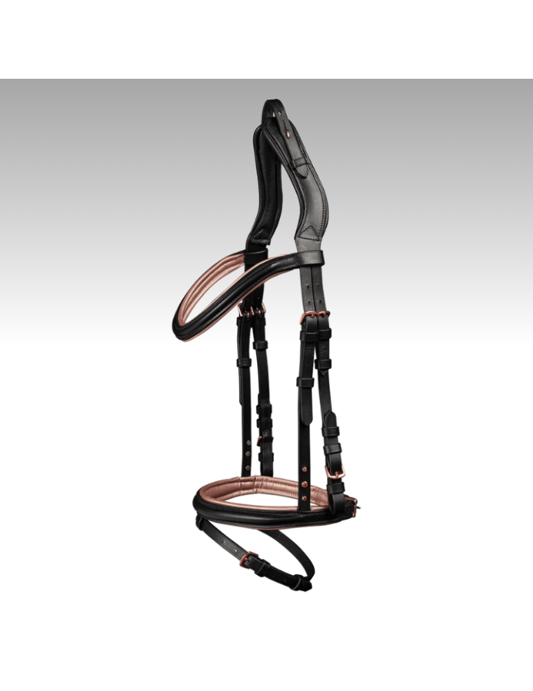 Bridon Island Waldhausen Bridon Island Waldhausen