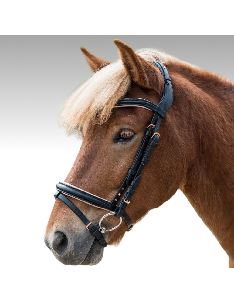 Bridon Island Waldhausen