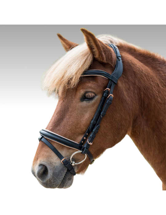 Bridon Island Waldhausen