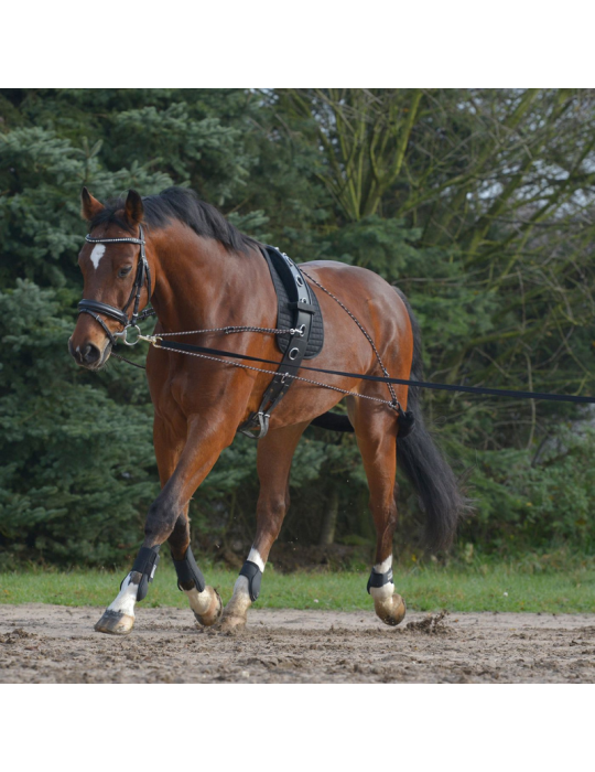 Enrênement à poulies Waldhausen