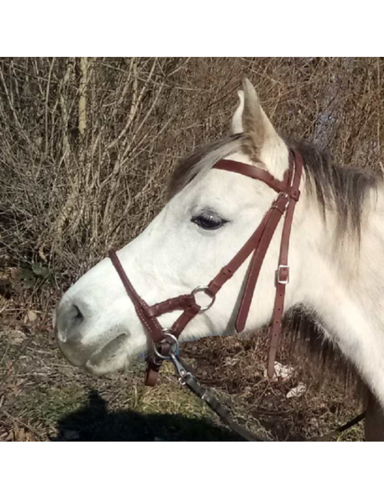 Side Pull Cuir gras Side Pull Cuir gras