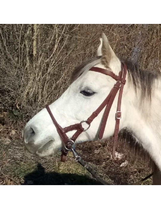 Side Pull Cuir gras Side Pull Cuir gras