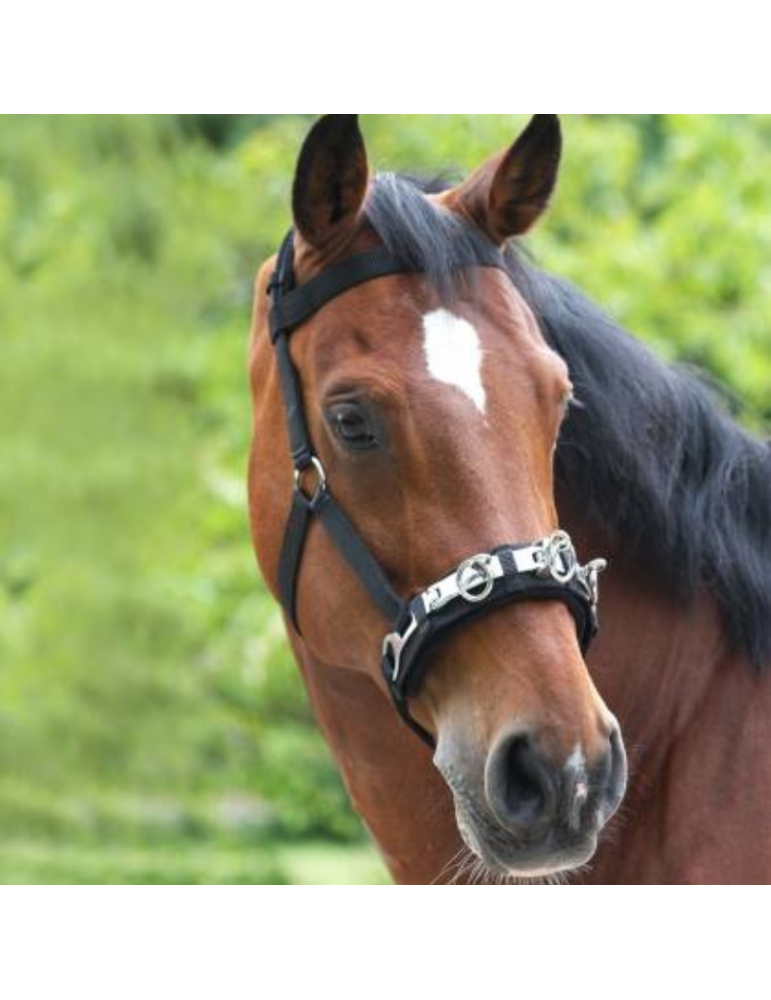 CAVEÇON EN NYLON CAVEÇON EN NYLON