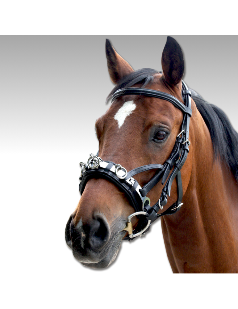 Caveçon en cuir Waldhausen