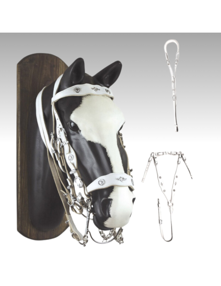 Bride collier chasse croupière