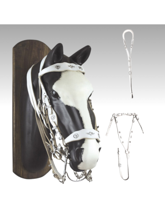 Bride collier chasse croupière