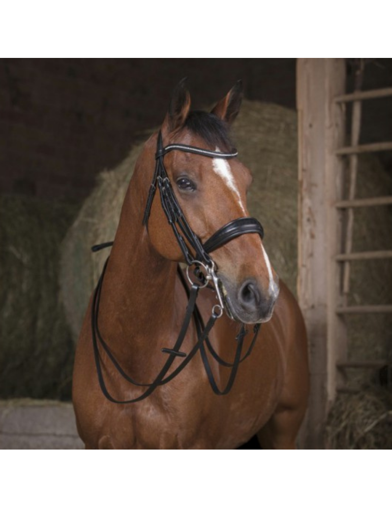 Rênes de bride "13 mm" - NORTON PRO