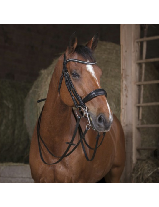 Rênes de bride "13 mm" - NORTON PRO