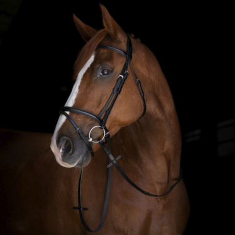 Rênes hunter ERIC THOMAS 2