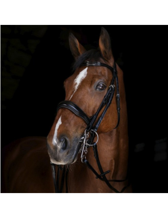 Rênes de bride - ERIC THOMAS