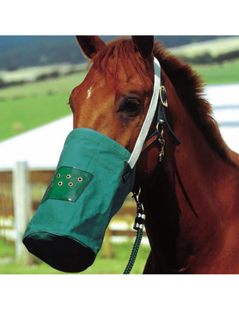 Musette canvas HIPPOTONIC