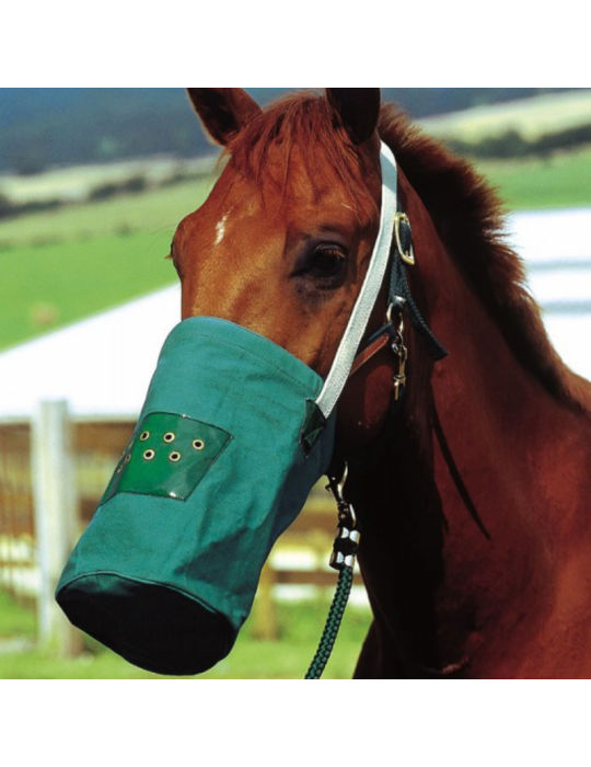 Musette canvas HIPPOTONIC