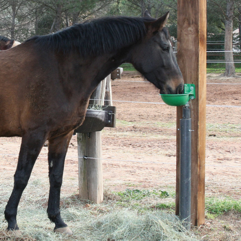 Abreuvoir synthétique à palette horizontale 2