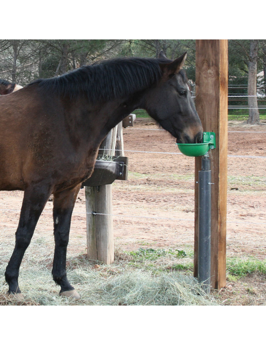 Abreuvoir synthétique à palette horizontale