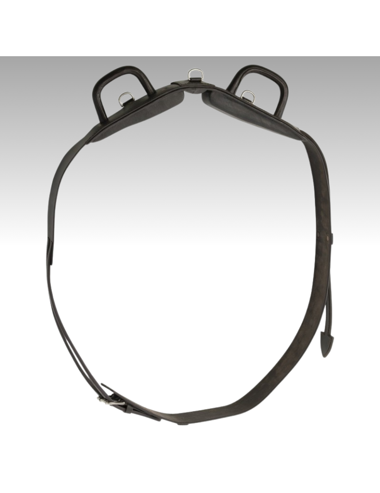 Surfaix de voltige NORTON CLUB Surfaix de voltige NORTON CLUB