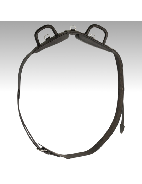 Surfaix de voltige NORTON CLUB Surfaix de voltige NORTON CLUB