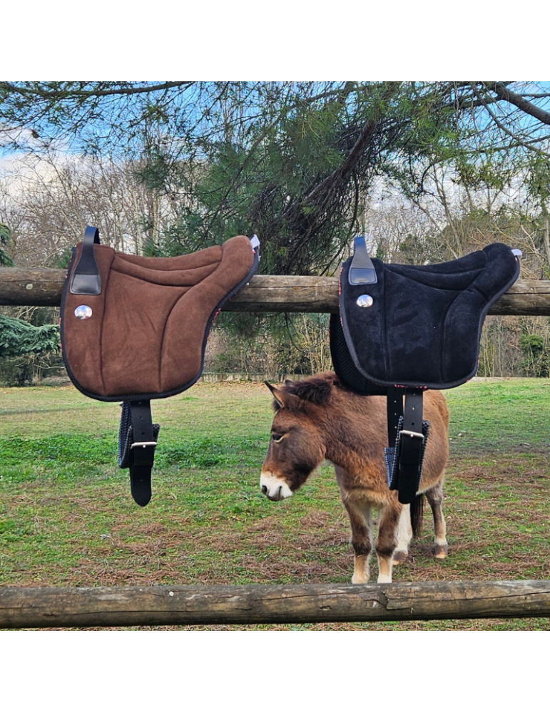 Bareback Shetland - PIONEER