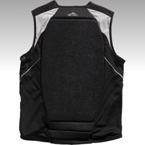 Protection de dos EQUITHEME 2