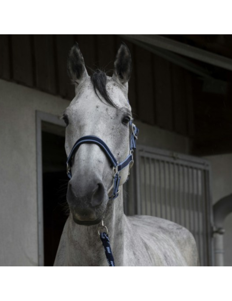 Licol + longe EQUITHÈME "Satiné"