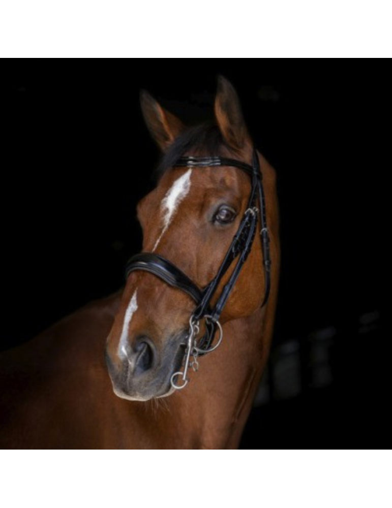 Bride ERIC THOMAS ELITE