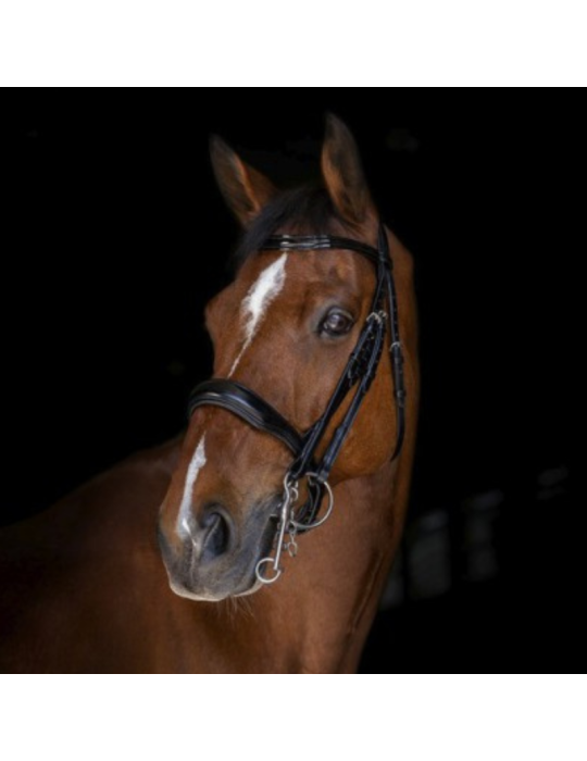 Bride ERIC THOMAS ELITE