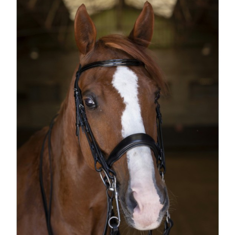 Bride ERIC THOMAS ELITE 2