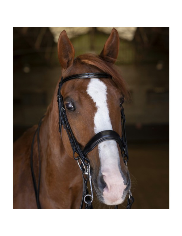 Bride ERIC THOMAS ELITE