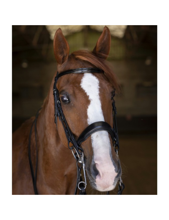 Bride ERIC THOMAS ELITE