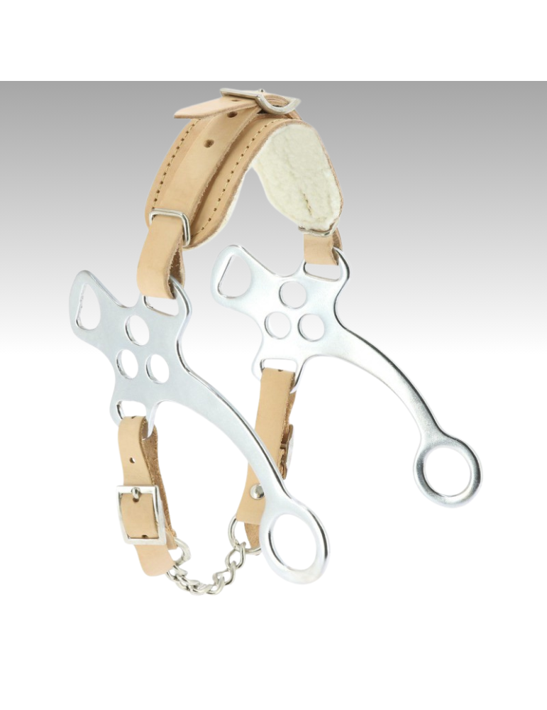 Hackamore – Sellerie Baude