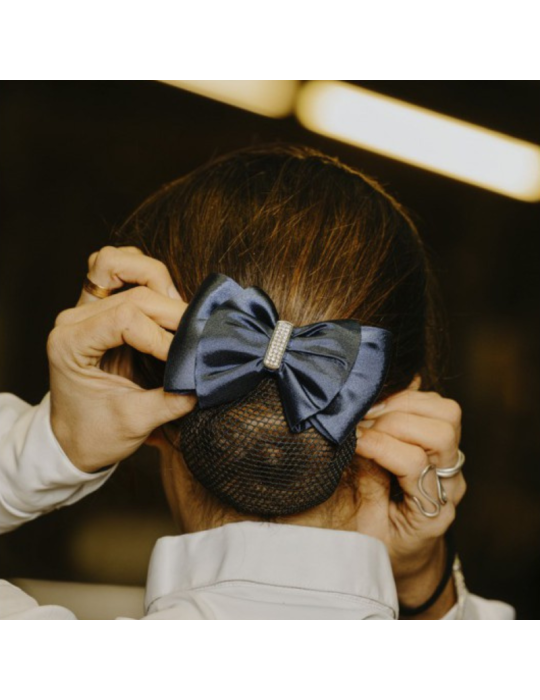 Barrette résille pour cheveux EQUITHEME Strass Barrette résille pour cheveux EQUITHEME Strass