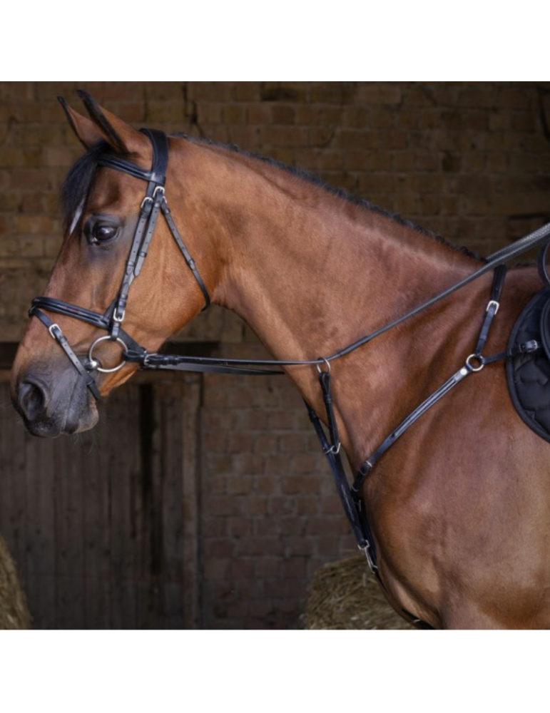 Collier de chasse ERIC THOMAS HYBRID