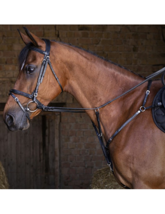 Collier de chasse ERIC THOMAS HYBRID