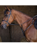 Collier de chasse ERIC THOMAS HYBRID
