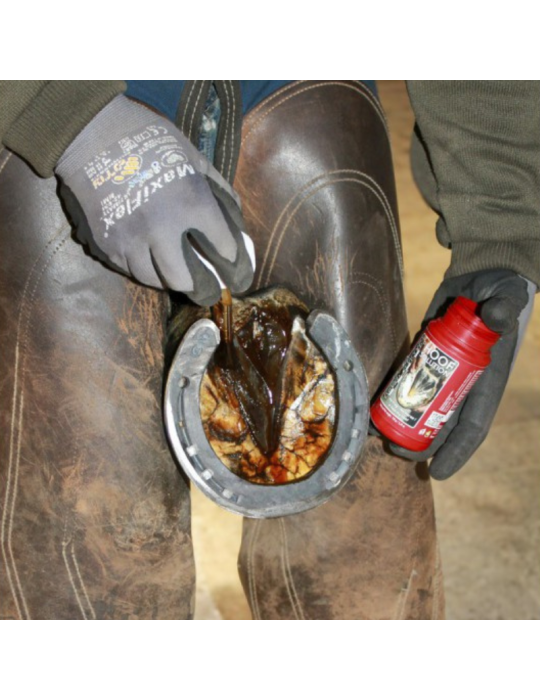Hoof solution KEVIN