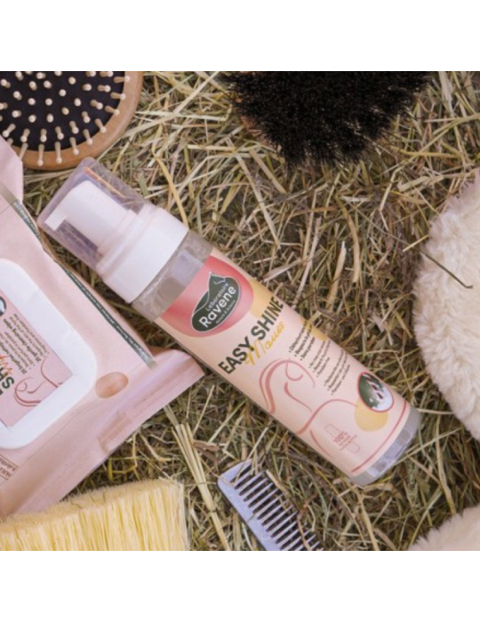 Easy Shine Mouss RAVENE