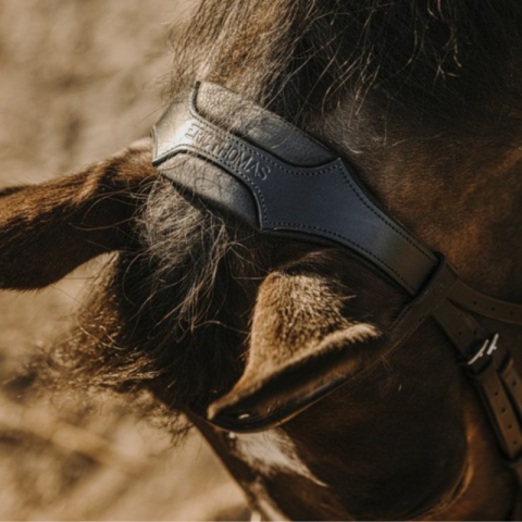 Bridon ERIC THOMAS "Bat" 2