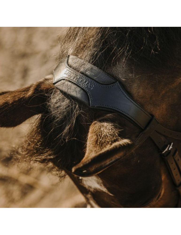 Bridon ERIC THOMAS "Bat"